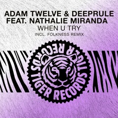 Adam Twelve & Deeprule feat. Nathalie Miranda - When U Try (Folkness Extended Remix)