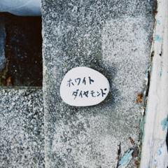 yanagamiyuki - 点在するエブリー(feat. 可不） bootleg / jerseyclub remix