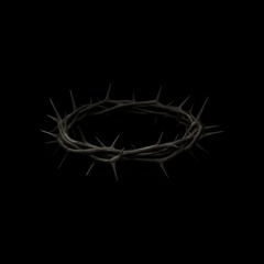 Howl Like Wolves: Tour Bus