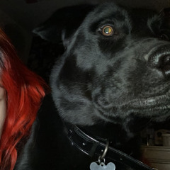 Brother-Gerard Way- Acoustic Cover