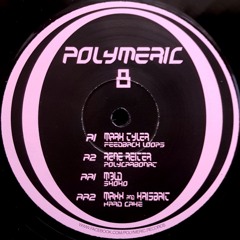 Feedback Loops EP [Polymeric 8]