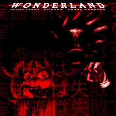 Wonderland [ANALOG FUNKIN' OST]