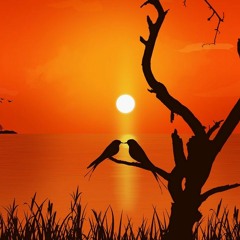 Emotional Orchestral Music "Flying"