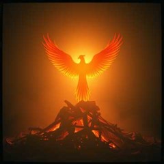 Rise Again