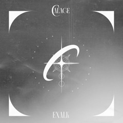 EXALK - Flesh Empire