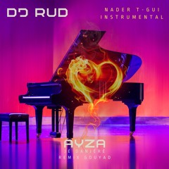 Ayza _Jé Danjéré Version Gouyad - Dj Rud 2023 (Nyder T - GUI Instrumental)