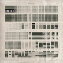 [05] Ironic Moronic Eugenics • BLOWsutra Psychedelic Banjo Booya BLUES
