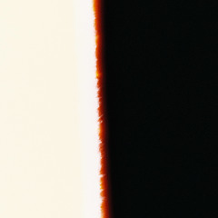 Sinoid F