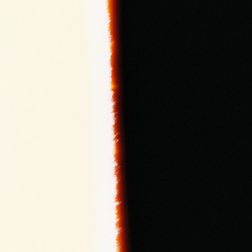Sinoid F