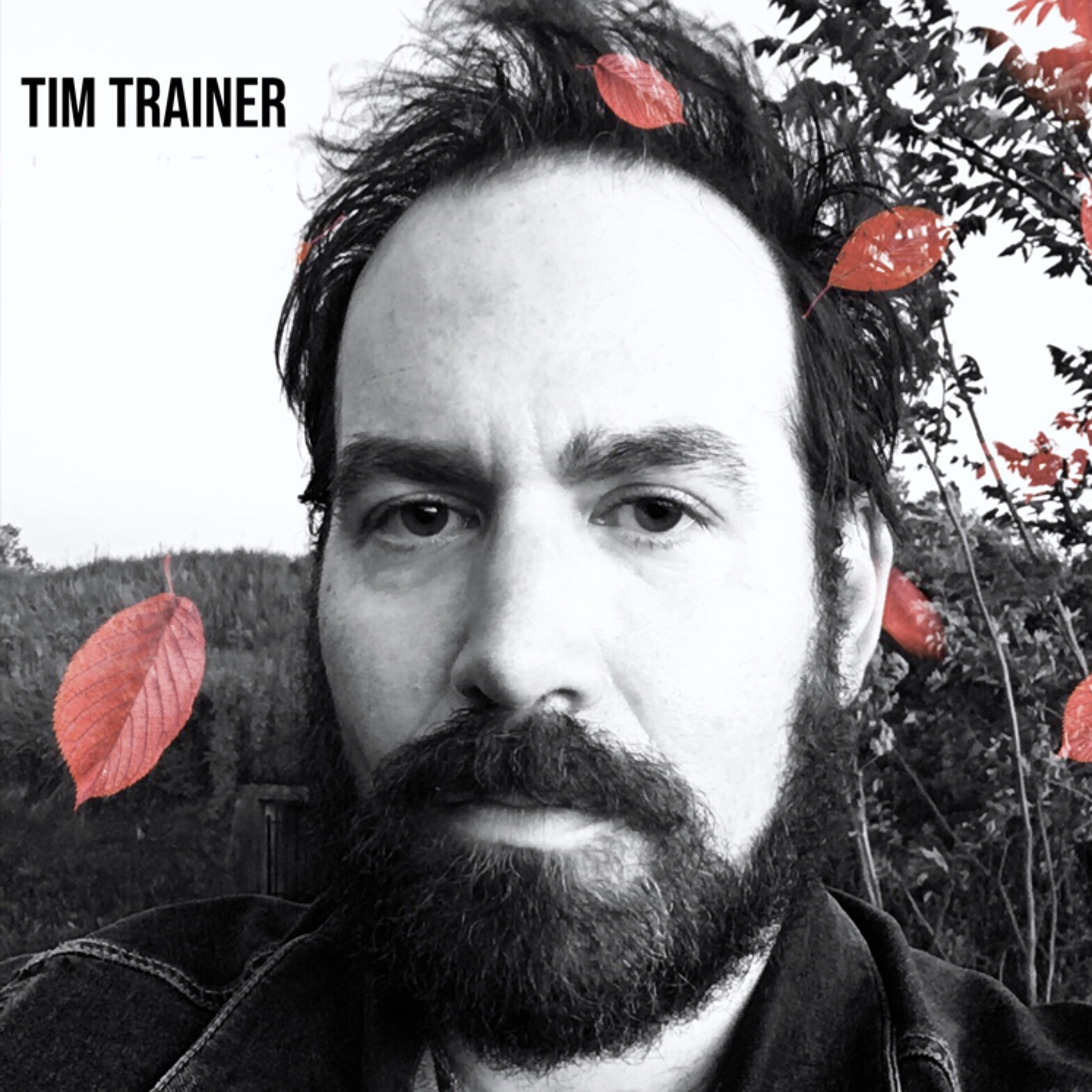 Tim Trainer