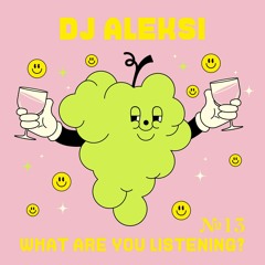 №13: DJ Aleksi