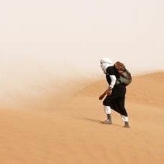 عدي السفياني _ القلب يهواك