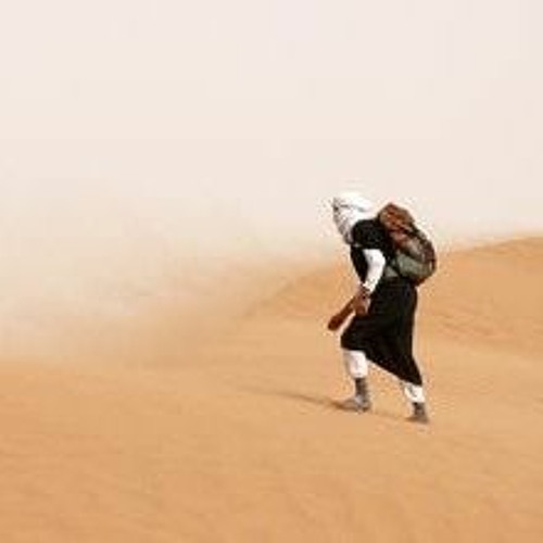 عدي السفياني _ القلب يهواك