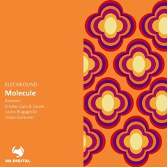 ELECGROUND - Molecule (Cristian Caro & Casnik Remix)