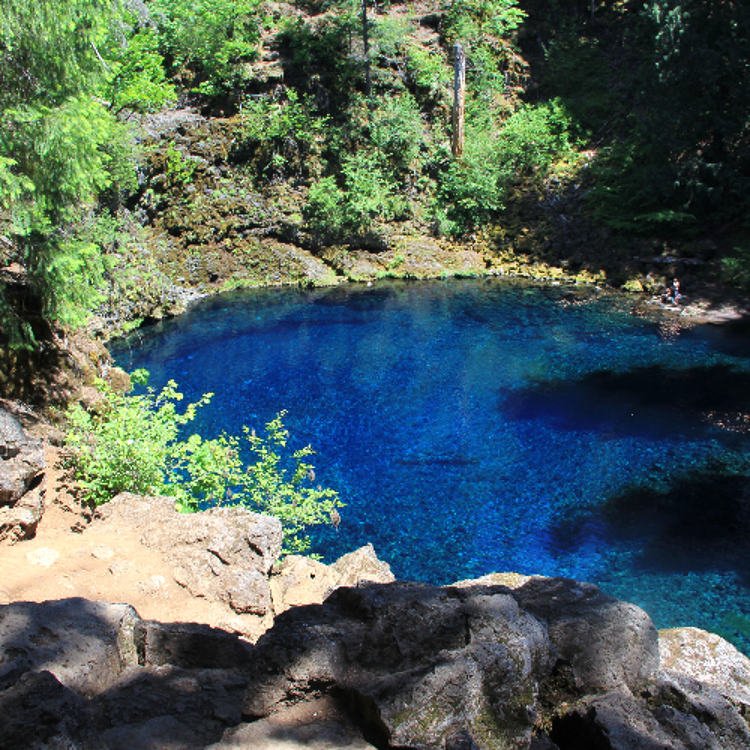 New $3.4 million trail system coming to iconic Blue Pool on the McKenzie River episode artwork