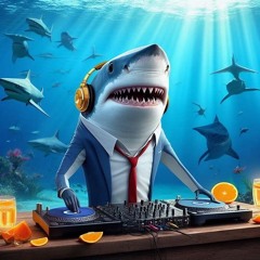 Best of Shark Serenade Sessions 1-5