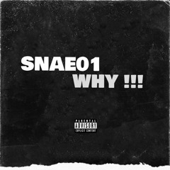 SNAE01- WHY!