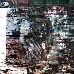 brayden potts - gtdwn