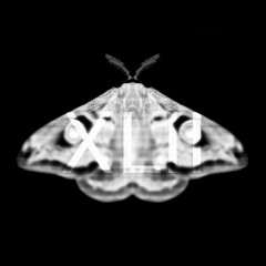 PREMIERE - The Noise Floor - TNF010114