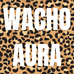 SOS UN WACHO TECHNO REMIX (JOGE)