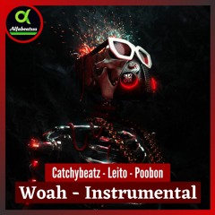 Catchybeatz - Woah (Instrumental Version)