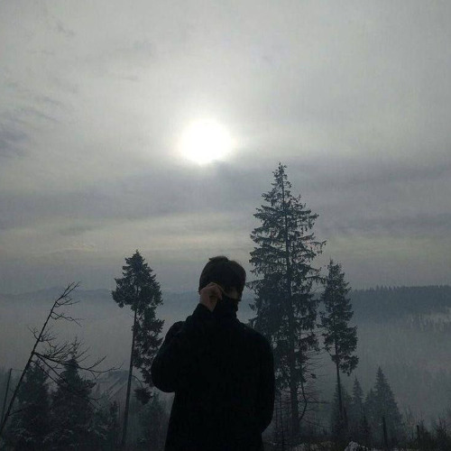 Ночь и бал