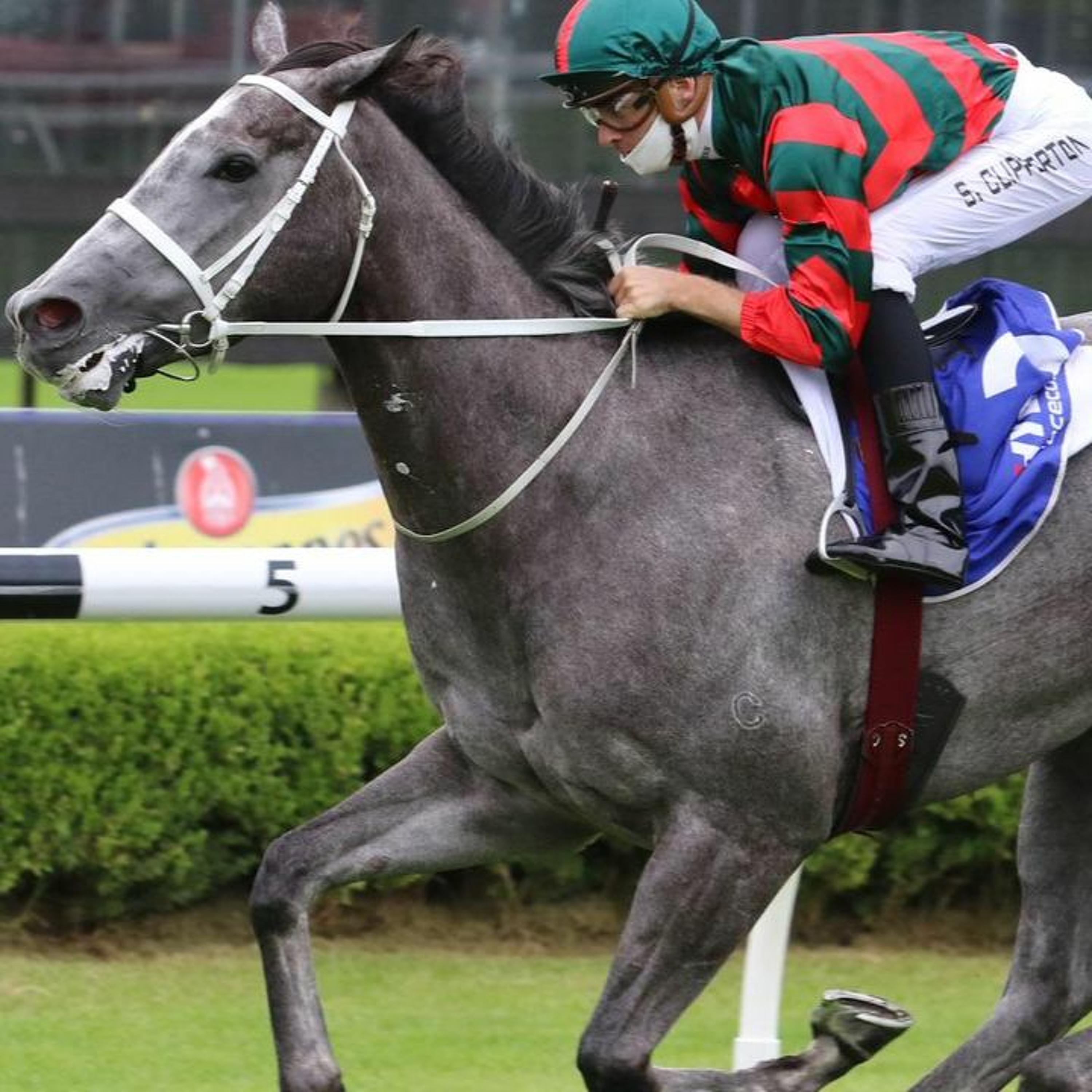 Randwick Punting Preview Saturday 29th May
