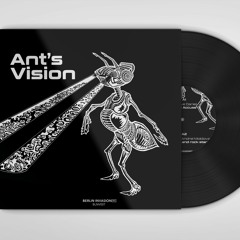 BLNV007 - Ant's Vision