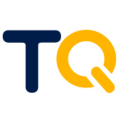 Professional Web Development Services | Custom Website Solutions by TEQTOP