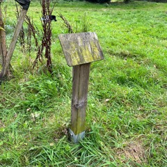 49m² | 新录音 144