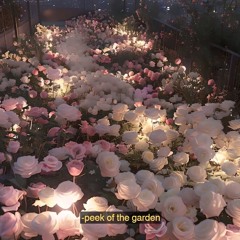 peek of the garden