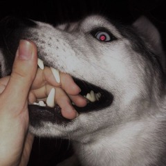 {RITUALMIXX} Joni - Orklove #SadOrk #OrkTearz