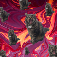 HARD BOUNCE BDAY MIX