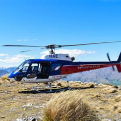 Best New Zealand Helicopter Tours -  Prices 2025 Reviews