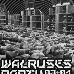 WalrusesParty@Fanat3kRadio