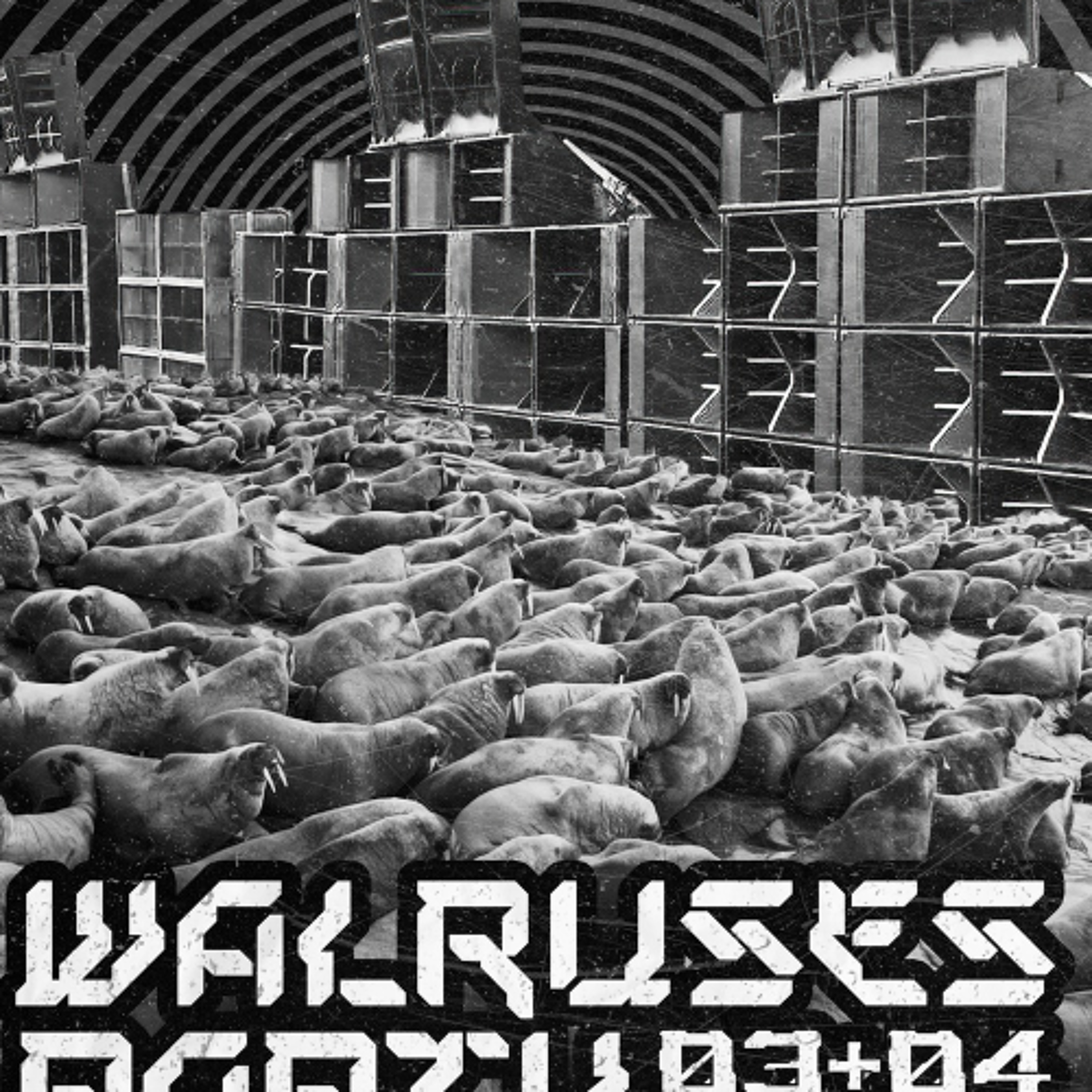 Redge23H23@WalrusesParty Fanat3kRadio