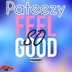 PATEEZY - FEEL SO GOOD
