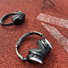 How to get a horse on a treadmill (Dr Polly McGuigan)