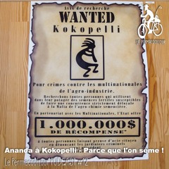Ananda à Kokopelli - Parce que l'on sème ! - Le Permacooltour PODCAST #12