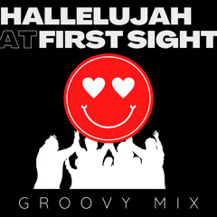 Robert Dani - Hallelujah At First Sight (Groovy Edit)