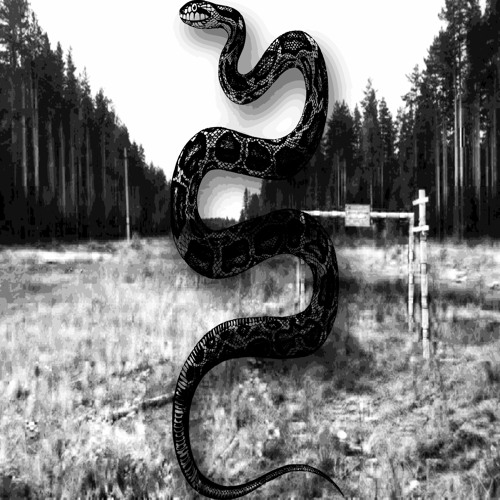 литл снейк гремучий змей