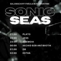 Sonic Seas 15