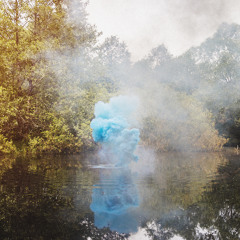 Yellowed Leaves Drift Down