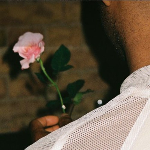 Simple/Lover
