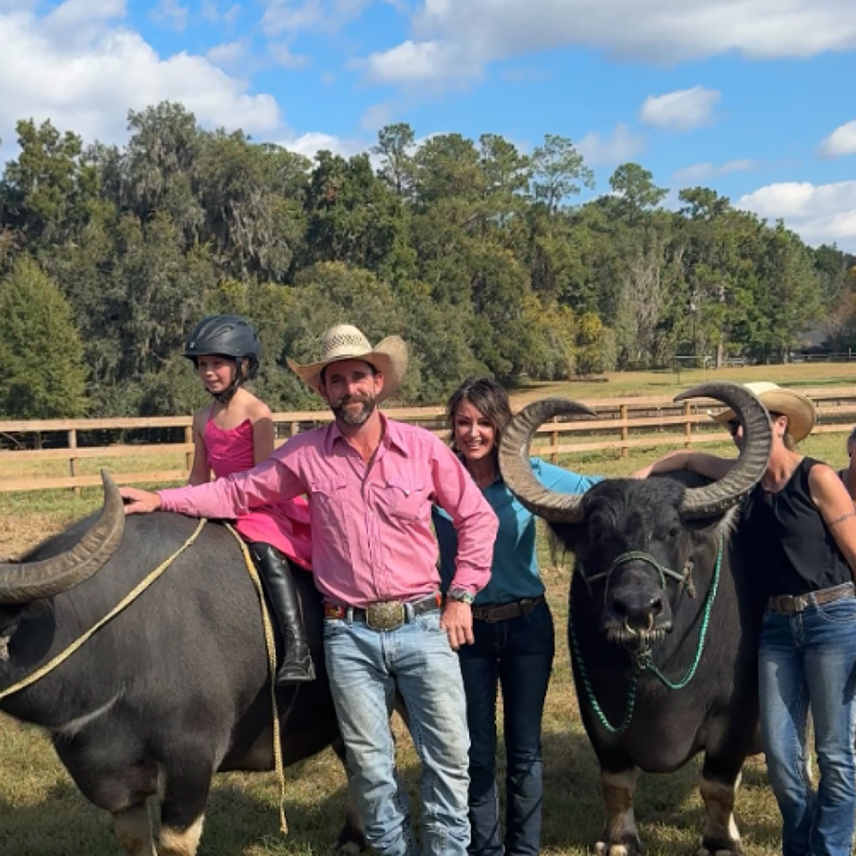 The Horse Talk Show: Water Buffalo Riding, Therapy Center, Healing your Horse Naturally, and MORE! episode artwork