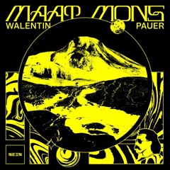 Walentin Pauer - Voyager III (Stockholm Syndrome Au Remix)