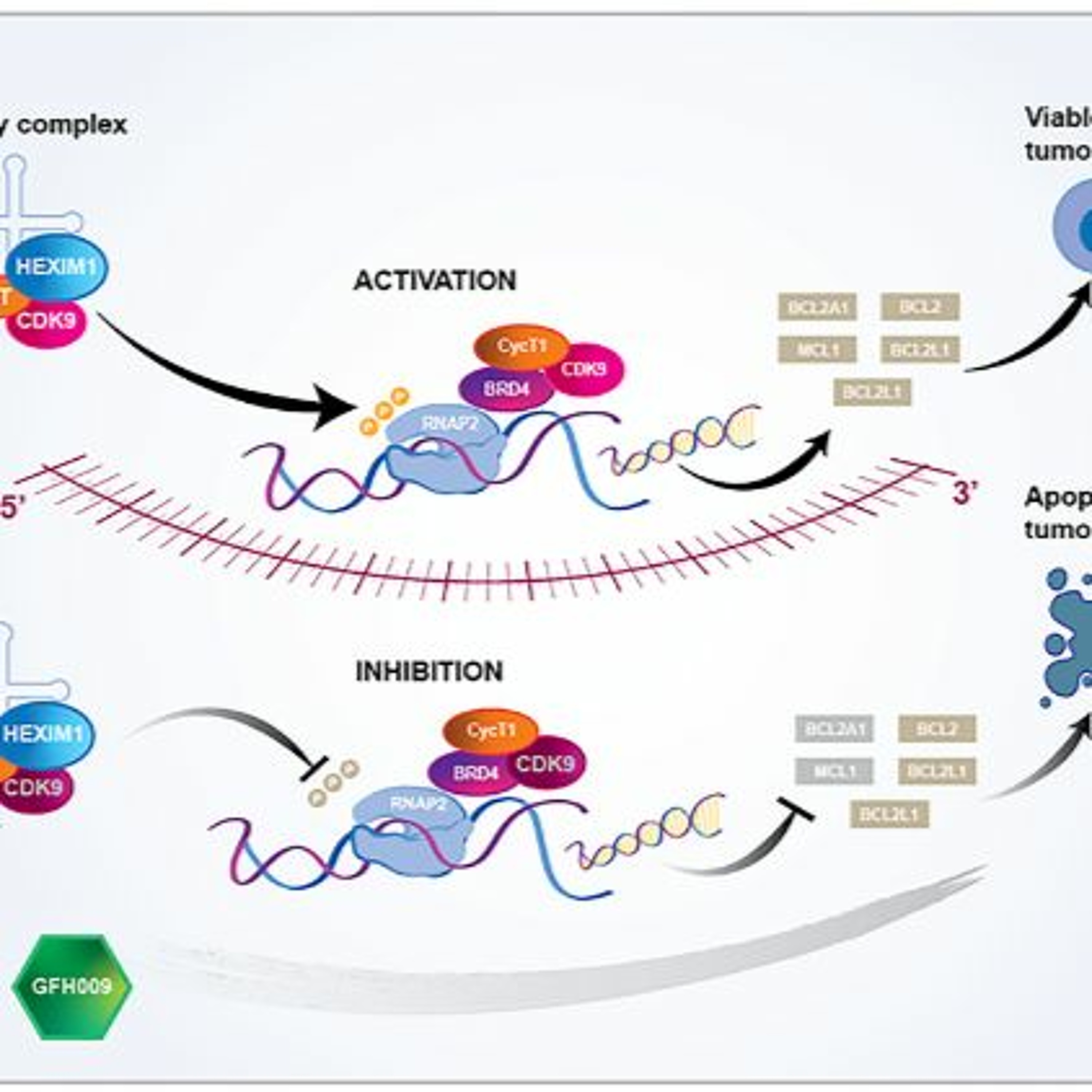 Oncotarget