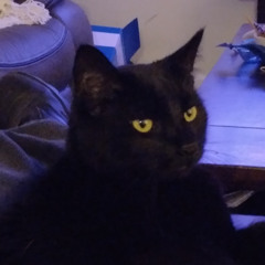 2025 (prod. yxngkenay + burnymadeit)