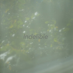 Indelible
