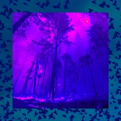 RICINIDE X HAUKI - Waiting